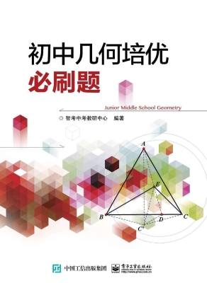 初中几何培优必刷题
