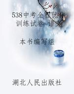 538中考全程优化训练