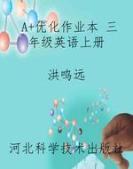 A+优化作业本 三年级
