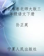 领航考卷北师大版三年