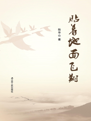 贴着地面飞翔