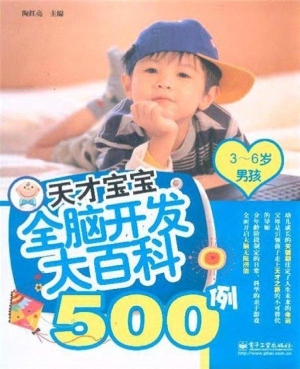 天才宝宝全脑开发大百