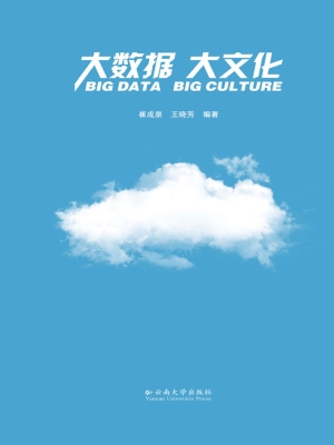 大数据 大文化