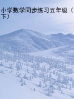 小学数学同步练习五年