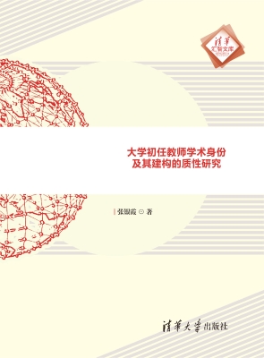 大学初任教师学术身份