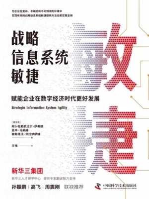 战略信息系统敏捷：赋能