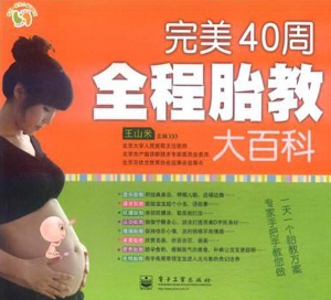 完美40周全程胎教大百