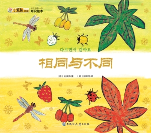 相同与不同