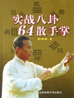 实战八卦64散手掌
