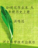 A+优化作业本 九年级