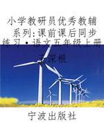 小学教研员优秀教辅系