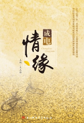 成电情缘