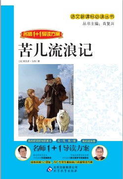 苦儿流浪记