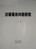 汉语语法问题研究