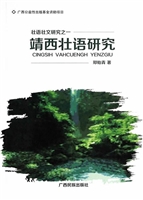 靖西壮语研究