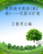 高职高专英语(第2册)