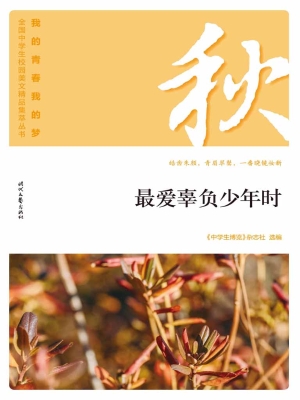最爱辜负少年时