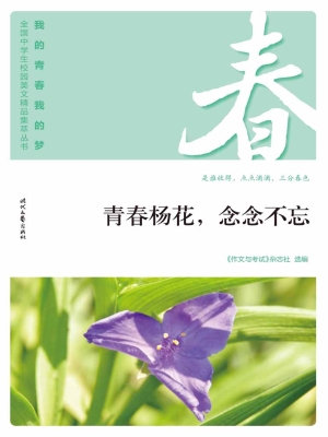 青春杨花，念念不忘