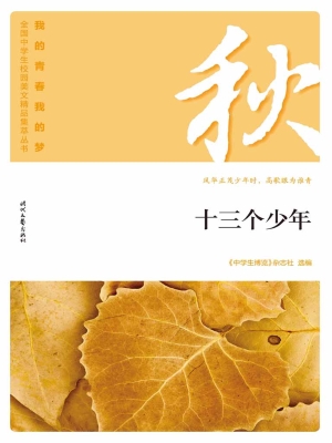 十三个少年