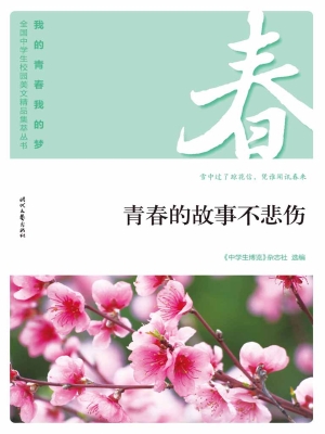 青春的故事不悲伤