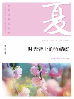 时光背上的竹蜻蜓
