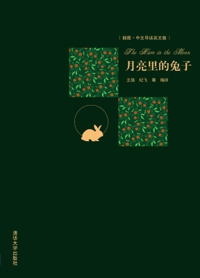 月亮里的兔子