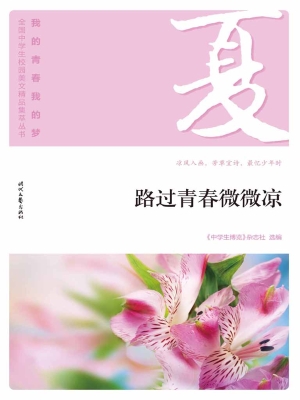 路过青春微微凉