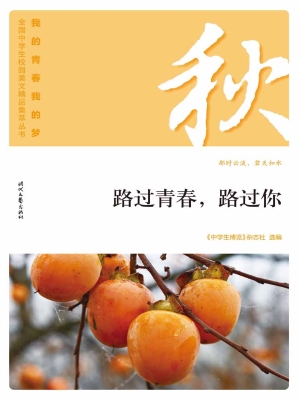 路过青春，路过你