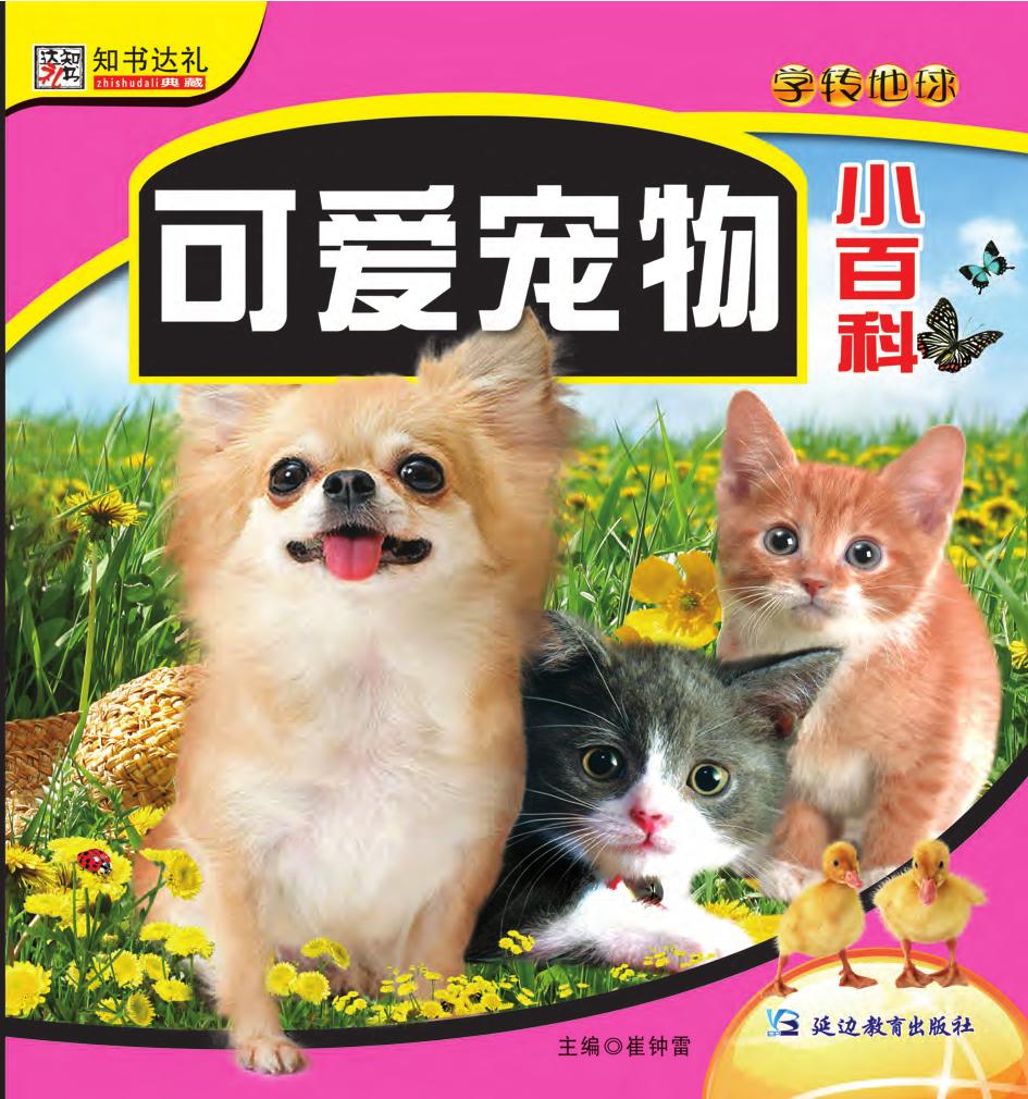 可爱宠物小百科