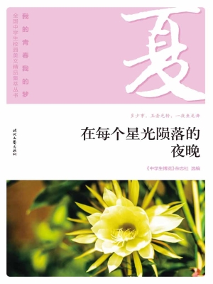 在每个星光陨落的夜晚