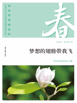 梦想的翅膀带我飞
