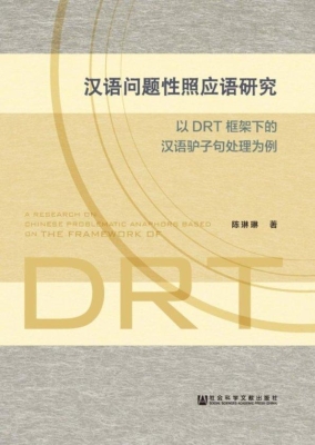 汉语问题性照应语研究