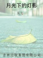 月光下的灯影