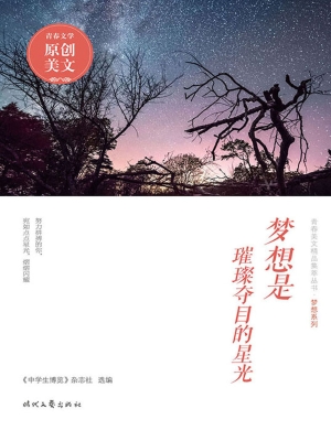 梦想是璀璨夺目的星光