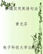 新编实用英语句法