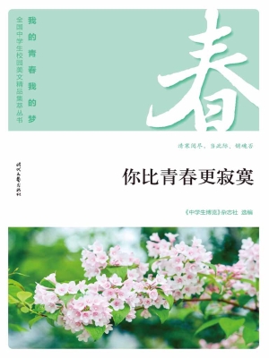 你比青春更寂寞