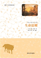 生命法则