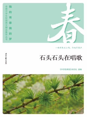 石头石头在唱歌
