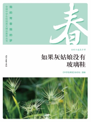 如果灰姑娘没有玻璃鞋