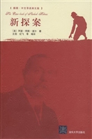 新探案