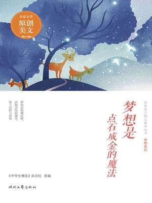 梦想是点石成金的魔法