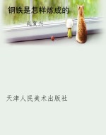 钢铁是怎样炼成的