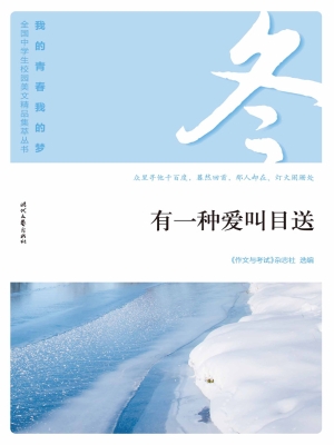 有一种爱叫目送