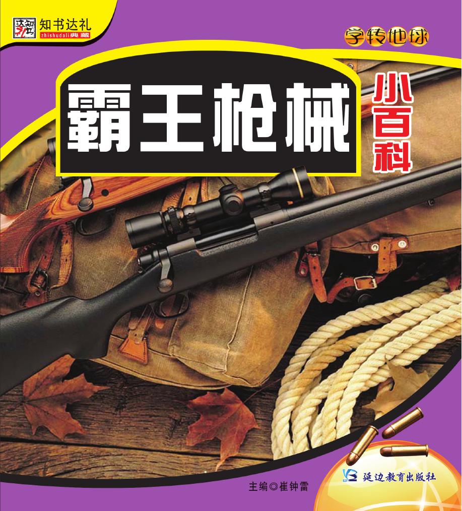 霸王枪械小百科
