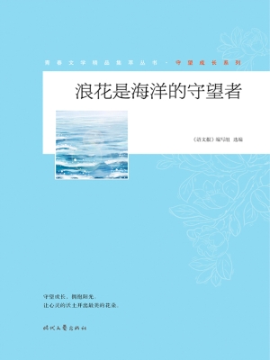 浪花是海洋的守望者