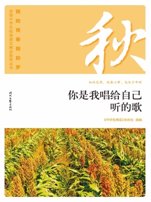 你是我唱给自己听的歌