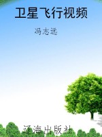 卫星飞行视频