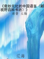《奇妙无比的中国语言