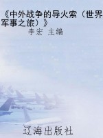 《中外战争的导火索（世