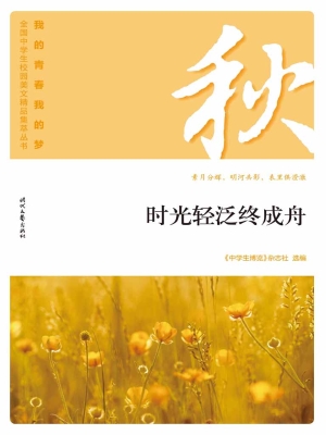 时光轻泛终成舟